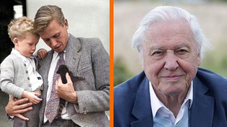Robert Attenborough: The Untold Story of David Attenborough’s Son in 2026 Robert Attenborough